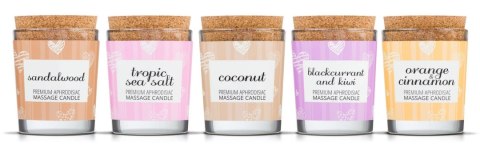 Magnetifico Świeca do Masażu z Feromonami Czarna Porzeczka Kiwi 70ml