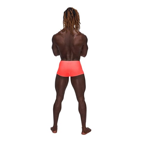 Male Power Barely There Mini Szorty Męskie Niski Stan L