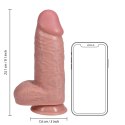 RealRock Model 23 cm - Anatomiczny kształt z jądrami, extra cienki