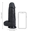 RealRock Model 25,4 cm - Realistyczna forma z przyssawką, cielisty