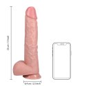 RealRock Model 33 cm - anatomiczna forma z przyssawką, duży rozmiar