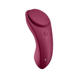 Satisfyer Sexy Secret Connect - model do noszenia, magnes, czarny