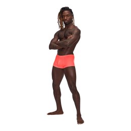 Male Power Barely There Mini szorty M - anatomiczny kroj, czarne