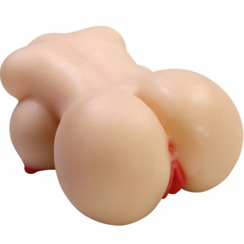 CRAZY BULL Herta Mini Torso anatomiczny model kobiecy 497g TPR