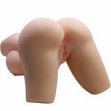 Crazy Bull Lily Torso kobiecy 41,9 cm - anatomiczny model TPR, 4 kg