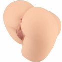 Crazy Bull Rolonda Masturbator Model Intymny Dwukanałowy TPE Naturalny 21 cm
