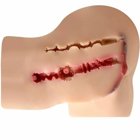 XISE KALLY Intymny model anatomiczny dwukanałowy, silikon TPE, realistyczny