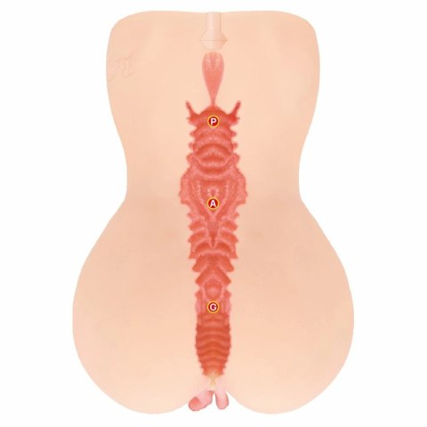 Kokos Edition 001 XL - Model dwuwarstwowy, anatomiczna powierzchnia