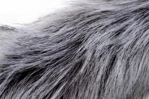 Tailz Grey Wolf zestaw ogon z futerkiem i opaska z uszami 59,7 cm