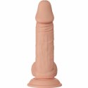 Baile Zebulon Model 19,4 cm Naturalny - elastyczny, z przyssawką