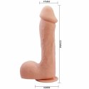 Baile Johnsson 22 cm - Model anatomiczny z przyssawką, TPR
