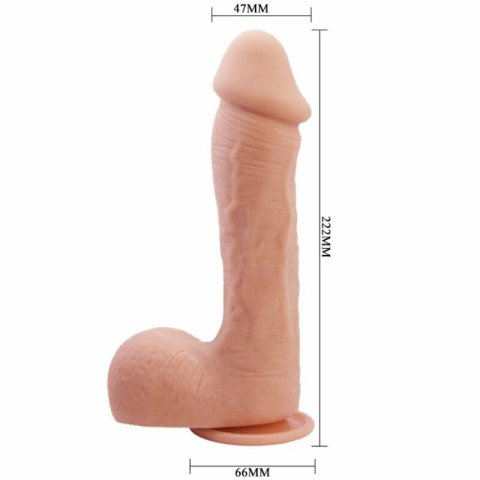 Baile Johnsson 22 cm - Model anatomiczny z przyssawką, TPR
