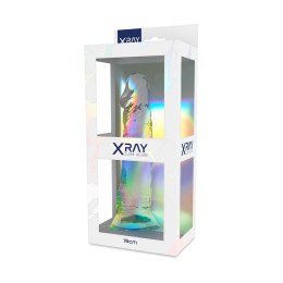 XRAY X Ray Clear model 19 cm - przezroczysty, elastyczny, przyssawka