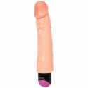 Baile Wibrator Zakrzywiony 25 cm Wielobiegowy PVC Unisex