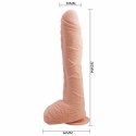 Baile Alex model anatomiczny z przyssawką 27 cm imitacja skory