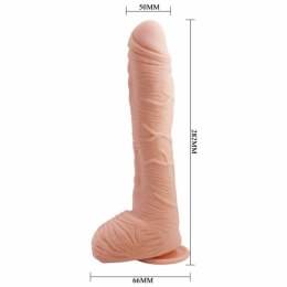 Baile Alex model anatomiczny z przyssawką 27 cm imitacja skory