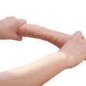 Baile Alex model anatomiczny z przyssawką 27 cm imitacja skory