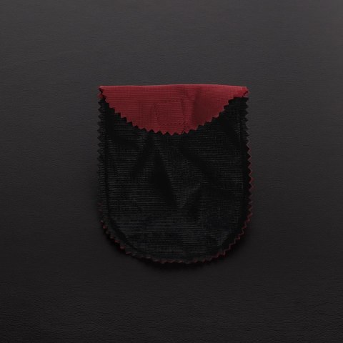 Steel Cleopatra - stylowa obroża stalowa z pierścieniem, 34 cm