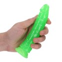 RealRock Model Glow in the Dark 15,5 cm - anatomiczna powierzchnia, przyssawka
